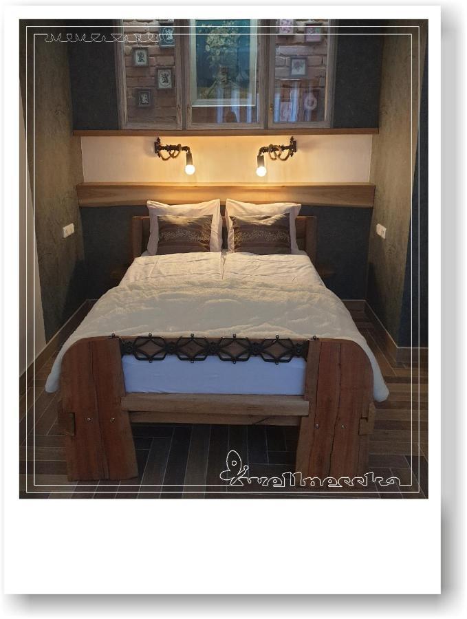 Wellnesska Vyhne Villa Dış mekan fotoğraf