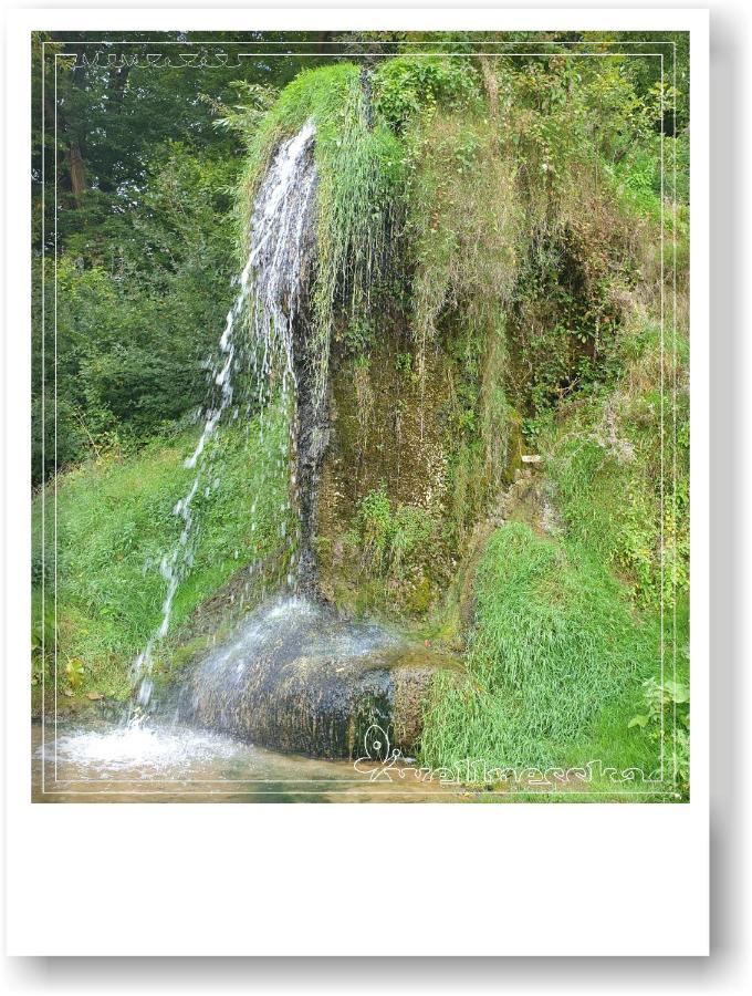 Wellnesska Vyhne Villa Dış mekan fotoğraf