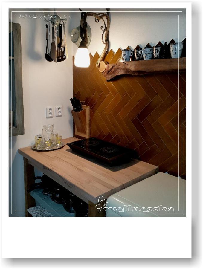Wellnesska Vyhne Villa Dış mekan fotoğraf