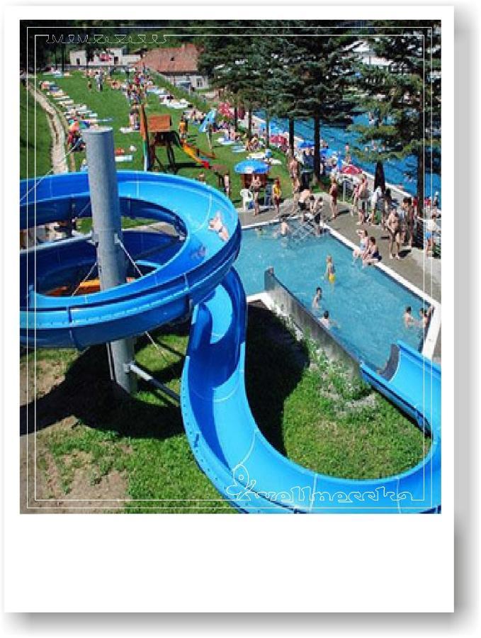Wellnesska Vyhne Villa Dış mekan fotoğraf