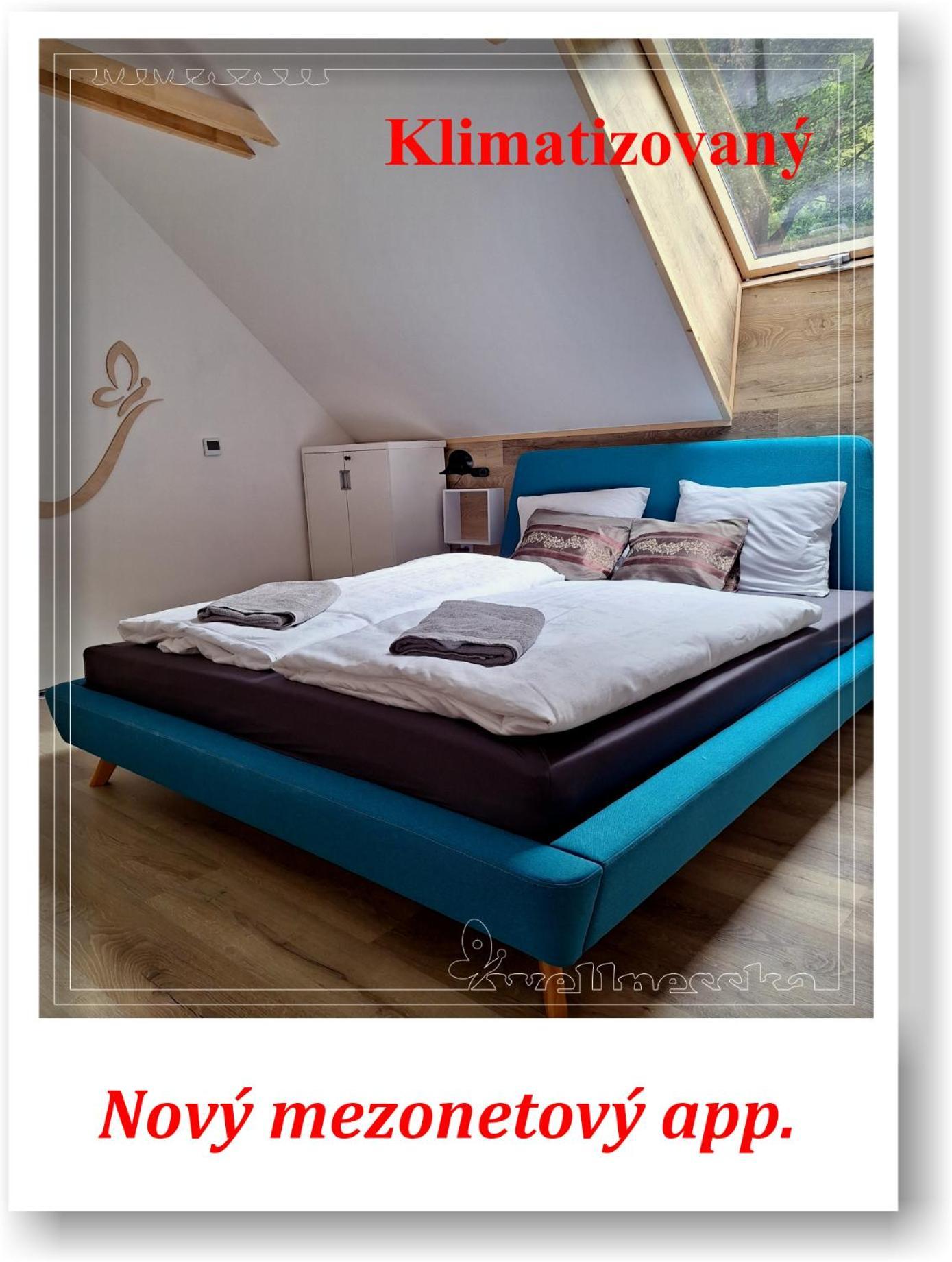 Wellnesska Vyhne Villa Dış mekan fotoğraf